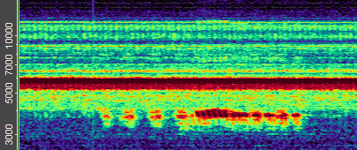 Grillen 3-12.000 Hz